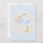 Twin Boys Country Charm Baby Shower Invitation (Back)