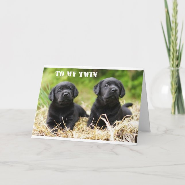 **TWIN BROTHER OR TWIN SISTER** BIRTHDAY CARD (Front)
