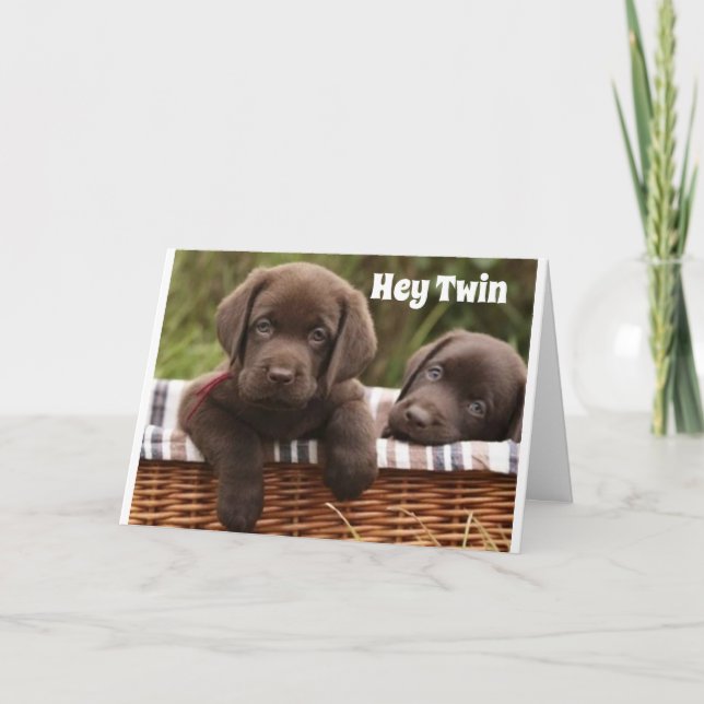 **TWIN BROTHER OR TWIN SISTER** BIRTHDAY CARD (Front)