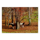 Twin Brown and White Horses (Front Horizontal)