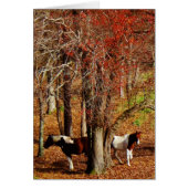 Twin Brown and White Horses (Front)