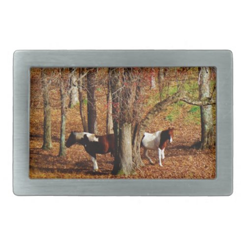 Twin Brown and White Horses Belt Buckle