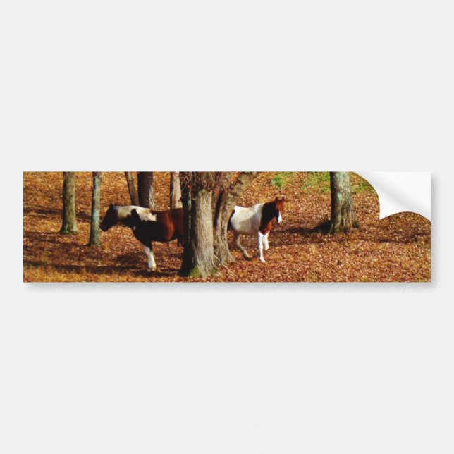 Twin Brown and White Horses Bumper Sticker (Front)