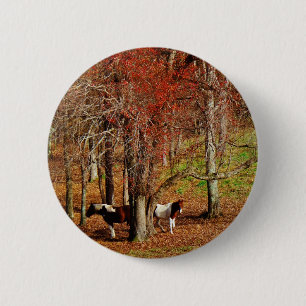 Twin Brown and White Horses Button