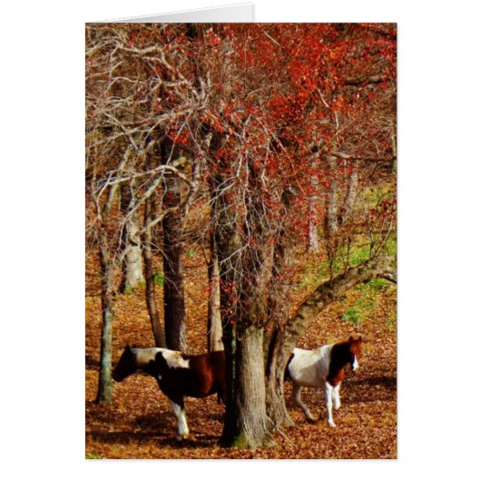 Twin Brown and White Horses Cards (Front)