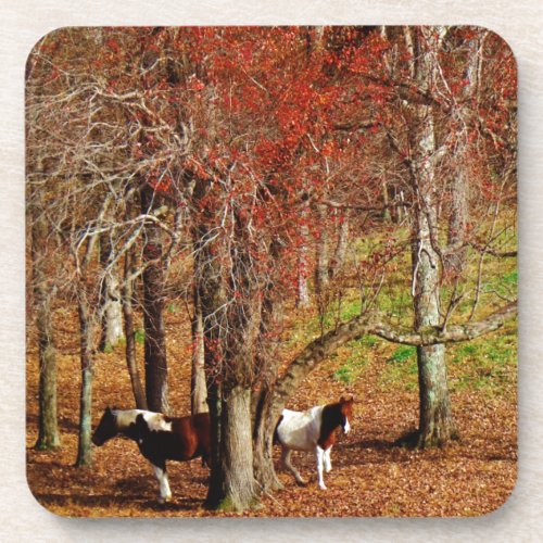 Twin Brown and White Horses Coaster