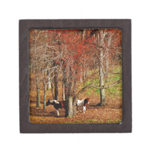 Twin Brown and White Horses Jewelry Box