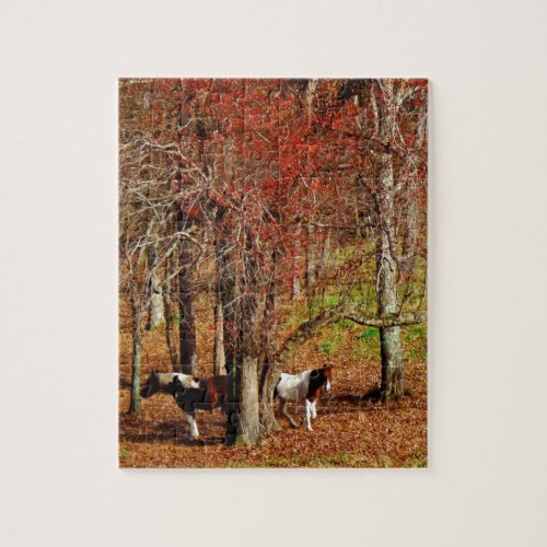 Twin Brown and White Horses Jigsaw Puzzle