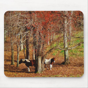 Twin Brown and White Horses Mouse Pad