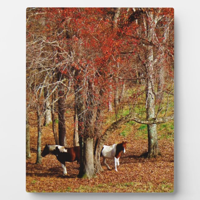Twin Brown and White Horses Plaque (Front)