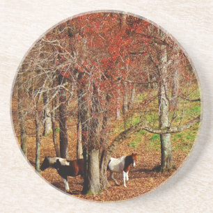Twin Brown and White Horses Sandstone Coaster