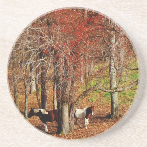 Twin Brown and White Horses Sandstone Coaster