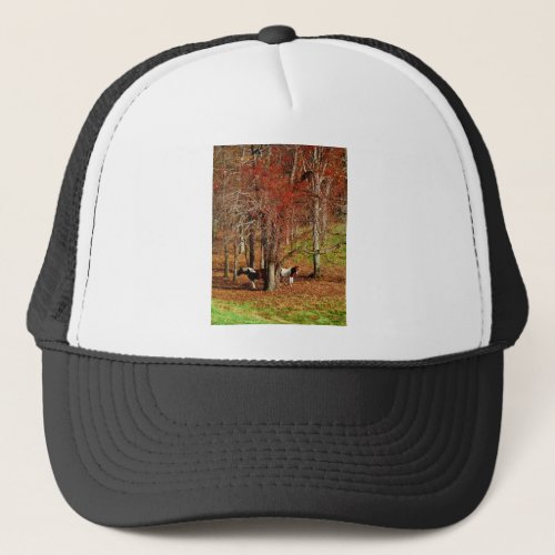 Twin Brown and White Horses Trucker Hat