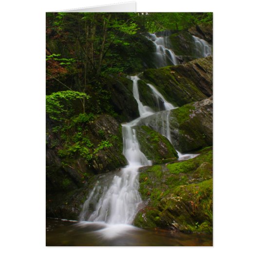 Twin Cascade Berkshires Waterfall Cards (Front)