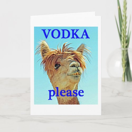 TWIN_CONFUSED LLAMA HUMOR FOR YOUR BIRTHDAY CARD
