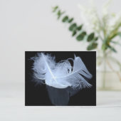 Twin flame feathers and reflection (Standing Front)