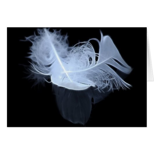 Twin flame feathers and reflection cards (Front Horizontal)
