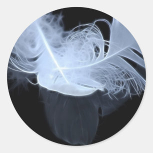 Twin flame feathers and reflection classic round sticker