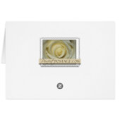 Twin Girls! (Back Horizontal)