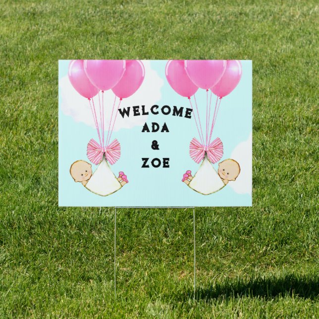 Twin Girls Birth Announcement Welcome Sign (Insitu)