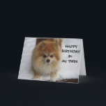 "TWIN" HAPPY BIRTHDAY SAYS THE POMERANIAN CARD<br><div class="desc">HAVE A TWIN... .This POMERANIAN is having such fun in the snow and hopes that the recipiant of this card will have a FUN BIRTHDAY!</div>