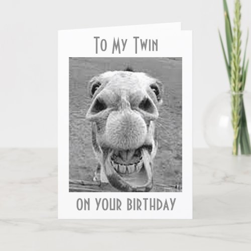 TWIN_HEE HAW YOU ARE A YEAR OLDER_BIRTHDAY HUMOR CARD