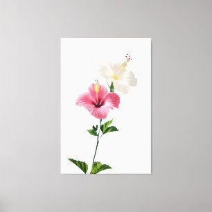 Twin Hibiscus Elegance Blush & Ivory Bloom Harmony Canvas Print