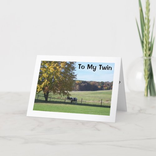 TWIN HORSE HUMOR HAPPY BIRTHDAY CARD