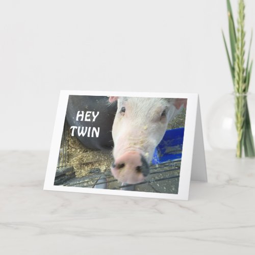 TWIN HUMOR ON AGE AND NOSES BY THIS GREAT PIT CARD