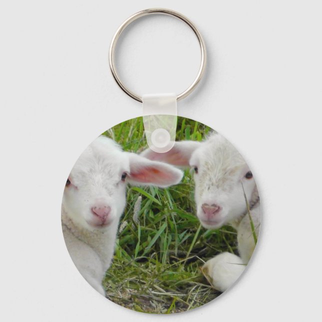 Twin Lamb Baby Animal Thinking Of You Keychain (Front)