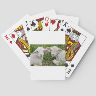 Twin Lamb Baby Animal Thinking Of You Poker Cards