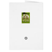 twin lambs cards (Back)