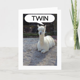 TWIN-LLAMA TELLS NO ONE HAS A BETTER TWIN THAN ME CARD
