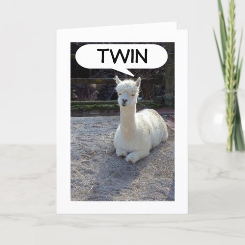 TWIN_LLAMA TELLS NO ONE HAS A BETTER TWIN THAN ME CARD