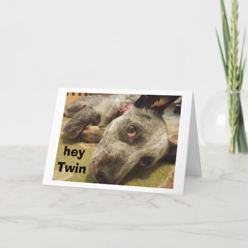 TWIN_MISS YOU ON YOUR BIRTHDAY SAYS SAD CATTLE DOG CARD