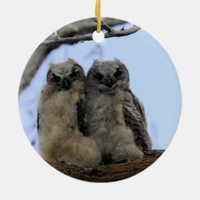 Twin Owls - Ceramic Ornament (Back)