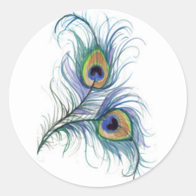 Watercolor Hand Drawn Peacock Feather On White Background Stock  Illustration - Download Image Now - iStock