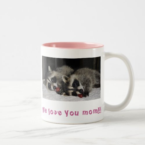 Twin Raccoons _ Mug