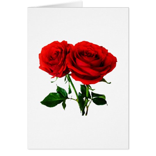 Twin Red Roses Cards (Front)
