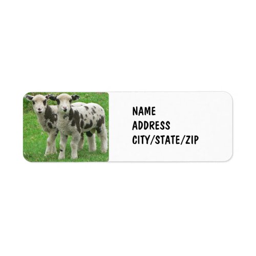 TWIN SHEEP ADDRESS LABELS