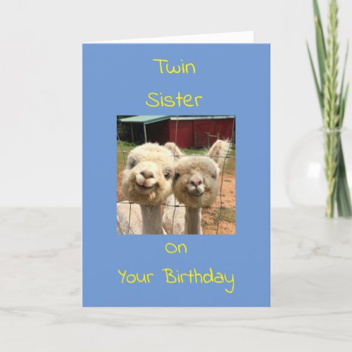 TWIN SISTER ENJOY YOUR BIRTHDAY CARD