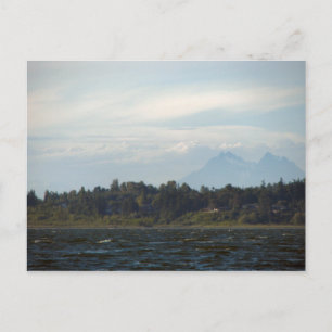 TWIN SISTERS POSTCARD