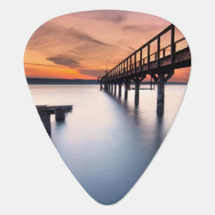 Twin Spits Guitar Pick