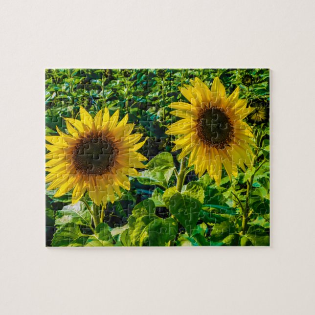 Twin Sunflowers Jigsaw Puzzle (Horizontal)