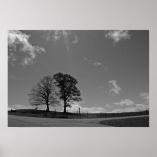 Twin Trees Mountain Meadow Poster