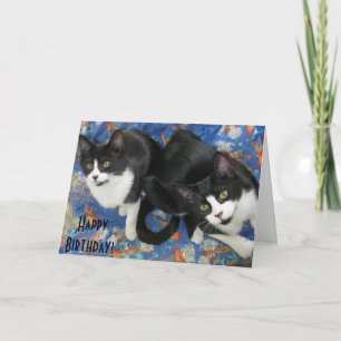 Twin Tuxedo Kittens Birthday Card