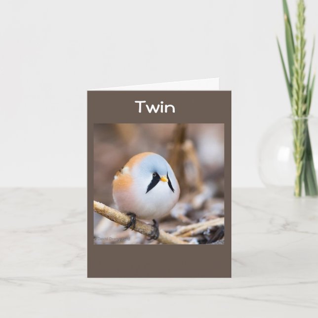 **TWIN** TWEETING HAPPY BIRTHDAY  CARD (Front)