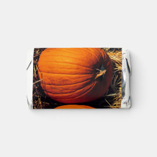 Twin Vintage Pumpkins Hershey's Miniatures