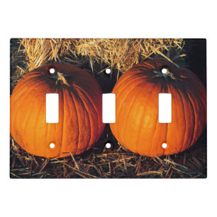 Twin Vintage Pumpkins Light Switch Cover