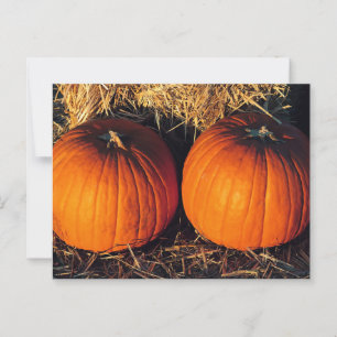 Twin Vintage Pumpkins Postcard